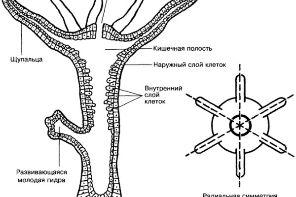 Кракен сайт 2krnk cc